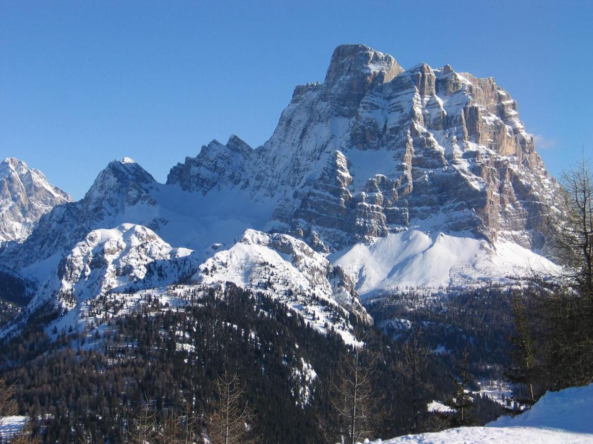 Vacanze Desiree Falcade